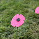 Illustration for article titled 2018 Remembrance Day at Mountain View Cemetery